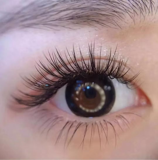 Classic full set lashes